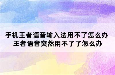 手机王者语音输入法用不了怎么办 王者语音突然用不了了怎么办